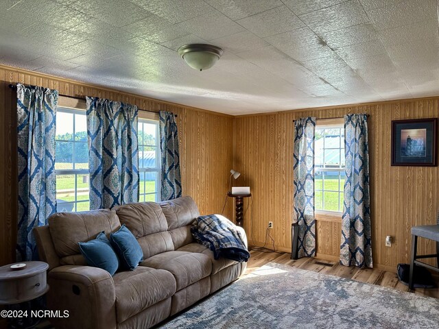 living room featuring wood-type flooring and wood walls