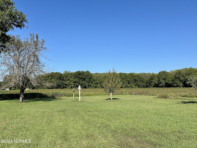 view of yard with a rural view