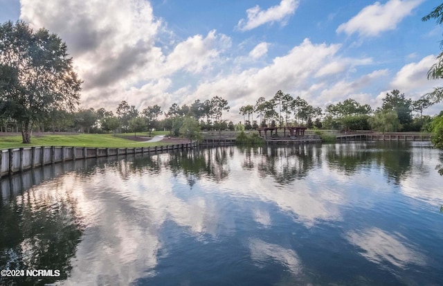 property view of water