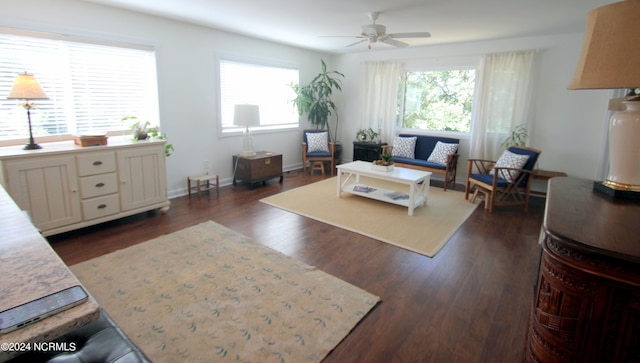 living room featuring ceiling fan and dark hardwood / wood-style floors