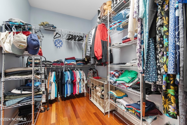 walk in closet featuring hardwood / wood-style flooring