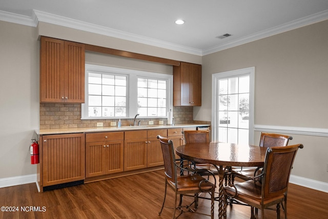 kitchen with dark wood-type flooring, tasteful backsplash, and a wealth of natural light