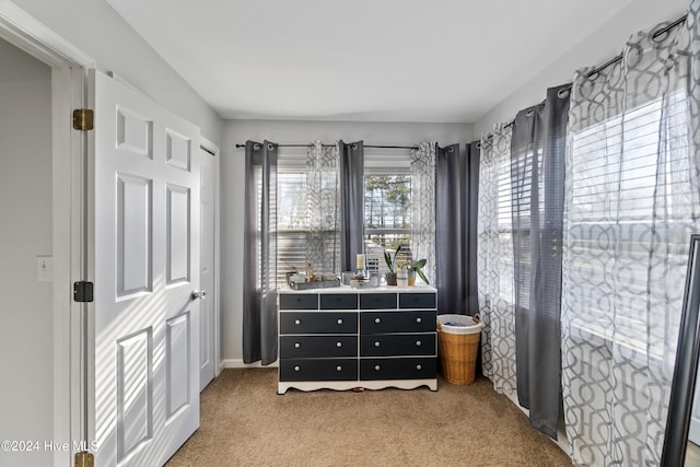 walk in closet featuring light carpet