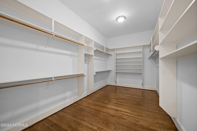 walk in closet featuring dark wood-type flooring