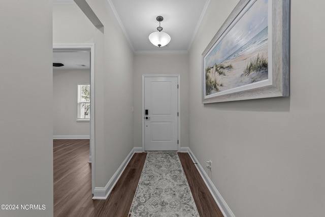 doorway to outside featuring ornamental molding and dark hardwood / wood-style flooring