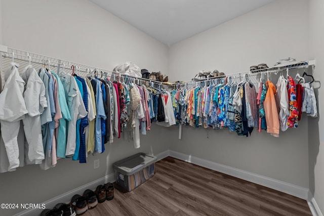 spacious closet with wood-type flooring