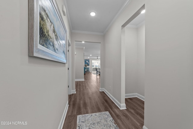 hallway with crown molding and dark hardwood / wood-style floors