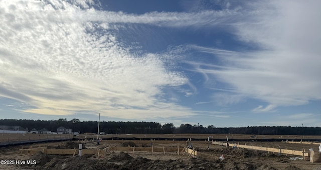 view of yard with a rural view