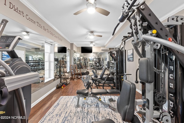 exercise room with crown molding and dark hardwood / wood-style floors