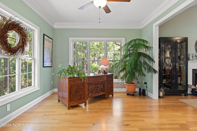 home office with light hardwood / wood-style flooring, ceiling fan, and crown molding