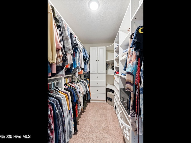 1204 Maple Ridge Rd, Wilmington, NC 28411 - walk in closet with light carpet