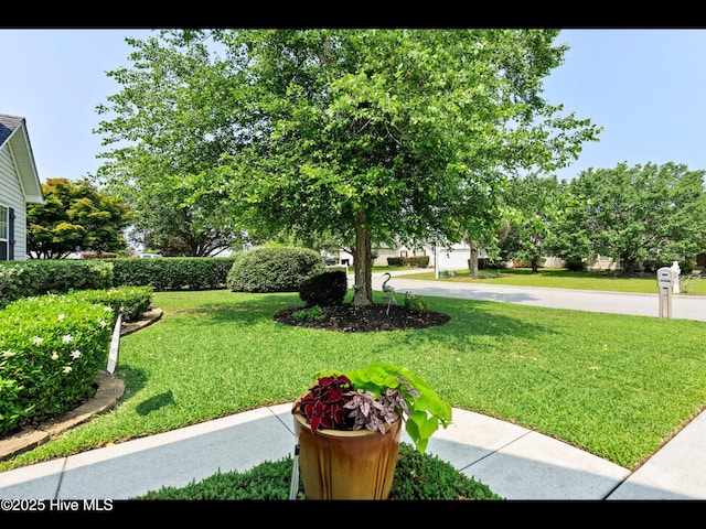 1204 Maple Ridge Rd, Wilmington, NC 28411 - view of grassy yard
