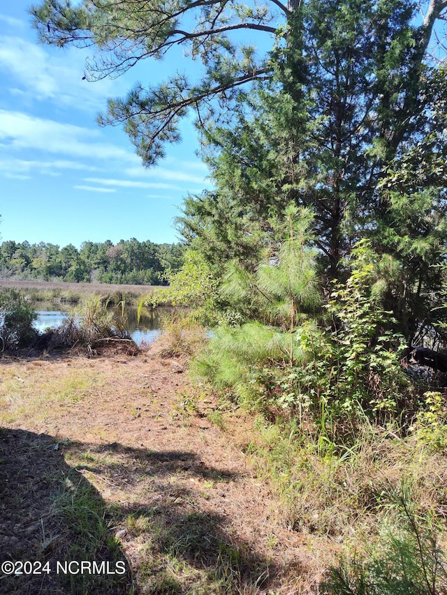 Listing photo 3 for PtTrB Freedom Way, Hubert NC 28539