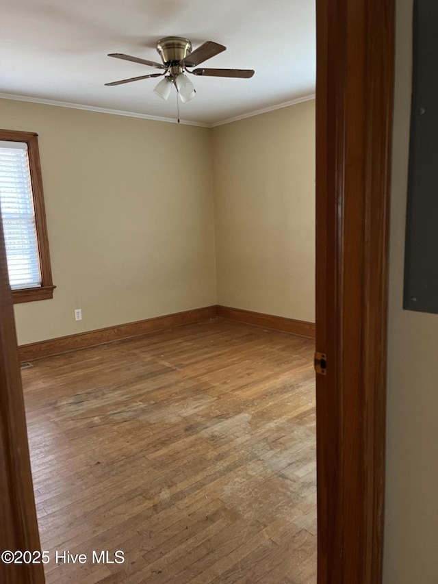 spare room featuring crown molding, ceiling fan, and light wood-type flooring