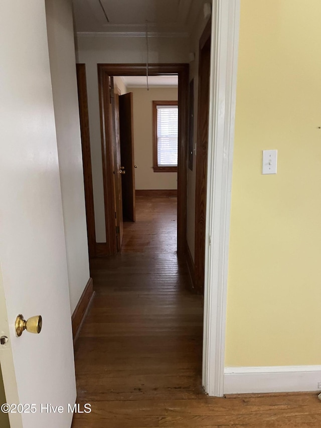 hallway featuring dark hardwood / wood-style floors