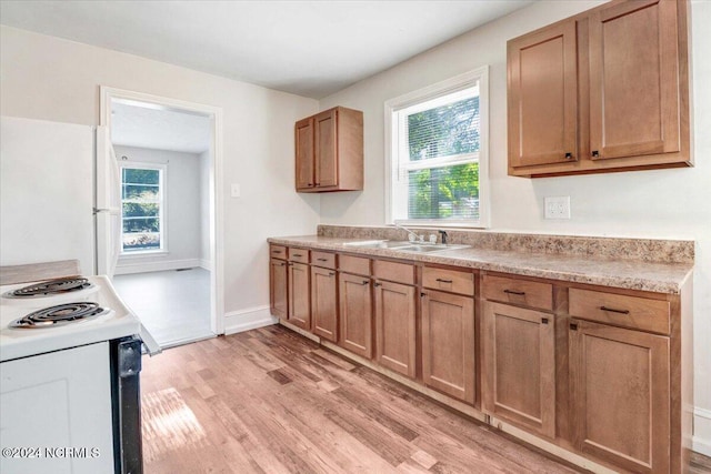 kitchen featuring white appliances, light hardwood / wood-style flooring, and sink