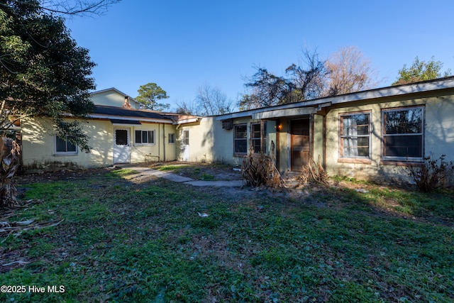 back of house featuring a yard