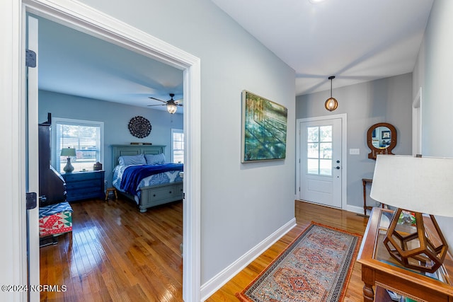 entrance foyer featuring plenty of natural light, wood-type flooring, and ceiling fan