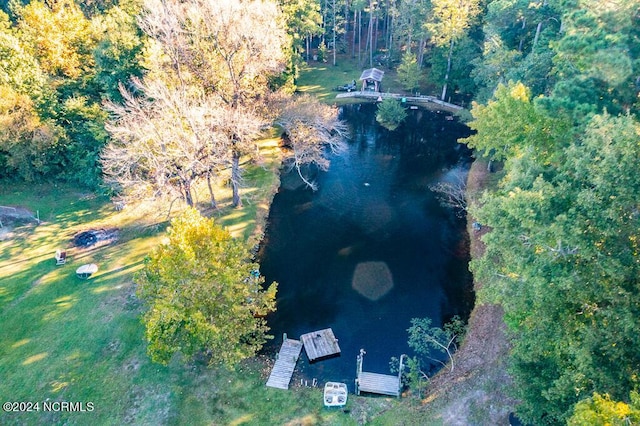 drone / aerial view with a forest view