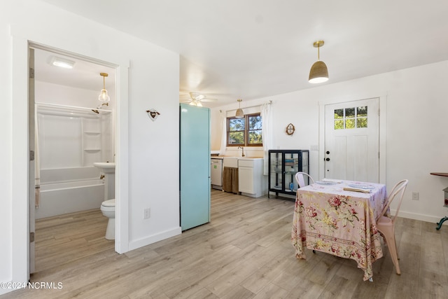 dining area with ceiling fan, light hardwood / wood-style floors, and a healthy amount of sunlight