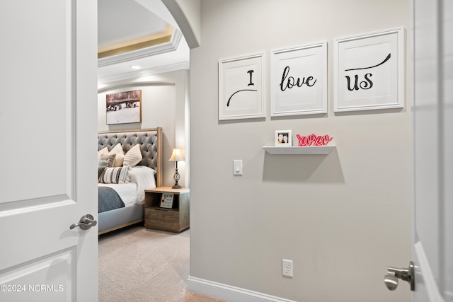 interior space with a raised ceiling and light colored carpet