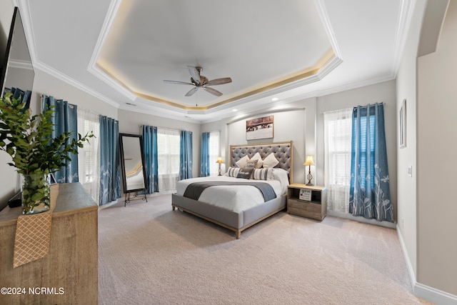 carpeted bedroom with a tray ceiling, multiple windows, and ceiling fan