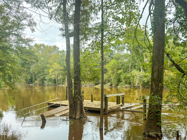 dock area featuring a water view