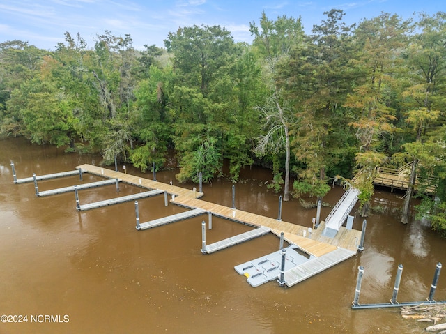 dock area with a water view