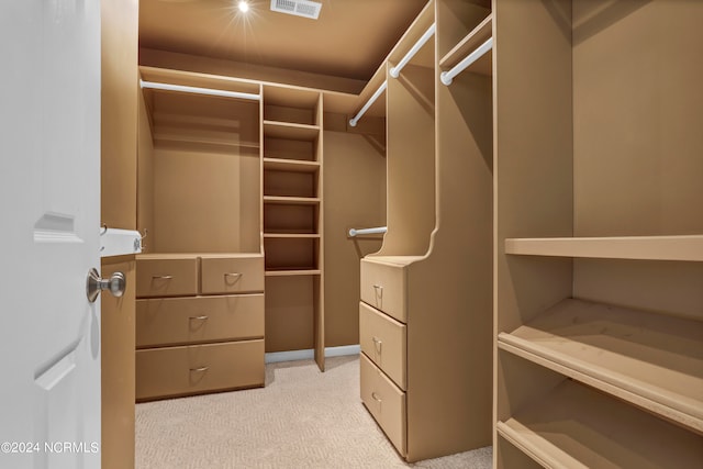 spacious closet featuring light colored carpet