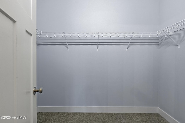 1399 Hammocks Beach Rd, Swansboro, NC 28584 - walk in closet featuring carpet flooring