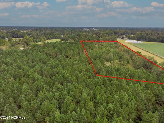 TBD NC-242 Hwy S, Bladenboro, NC 28320
