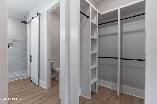 spacious closet with a barn door and light hardwood / wood-style flooring