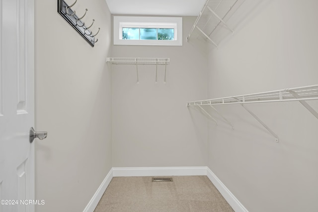 walk in closet featuring carpet