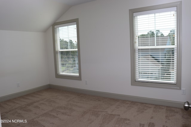 bonus room with carpet floors and lofted ceiling