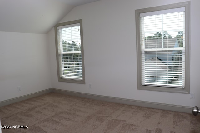 236 Trisail Ter, Wilmington, NC 28412 - additional living space featuring carpet floors, baseboards, and vaulted ceiling