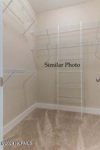 1397 Hammocks Beach Rd, Swansboro, NC 28584 - spacious closet featuring carpet flooring