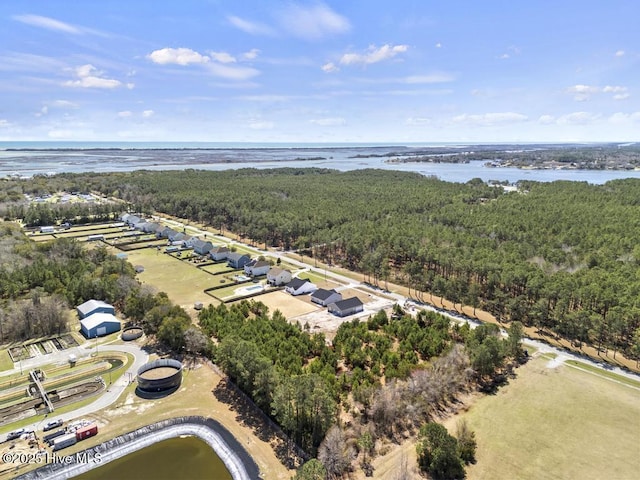 1397 Hammocks Beach Rd, Swansboro, NC 28584 - drone / aerial view of a forest and a nearby body of water