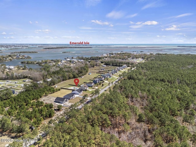 1397 Hammocks Beach Rd, Swansboro, NC 28584 - bird's eye view of a large body of water and a forest