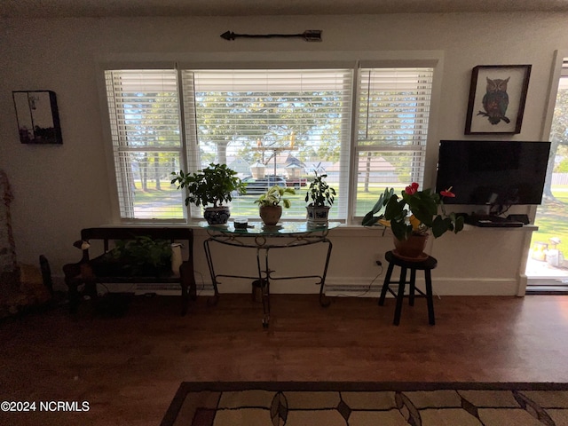 dining area featuring wood-type flooring