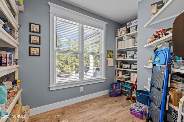 playroom featuring light hardwood / wood-style flooring