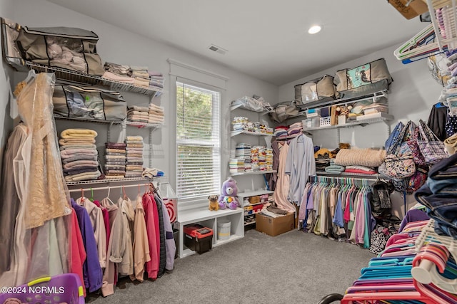 walk in closet with carpet floors