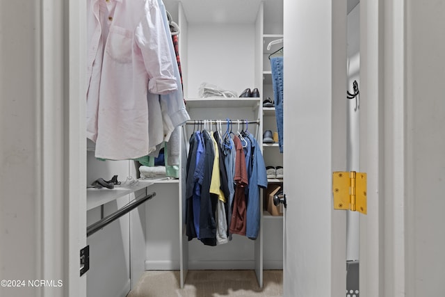 walk in closet with light carpet