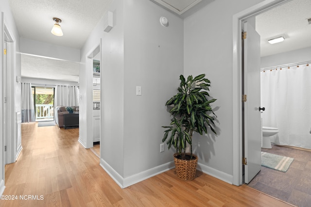 hallway with light hardwood / wood-style floors and a textured ceiling