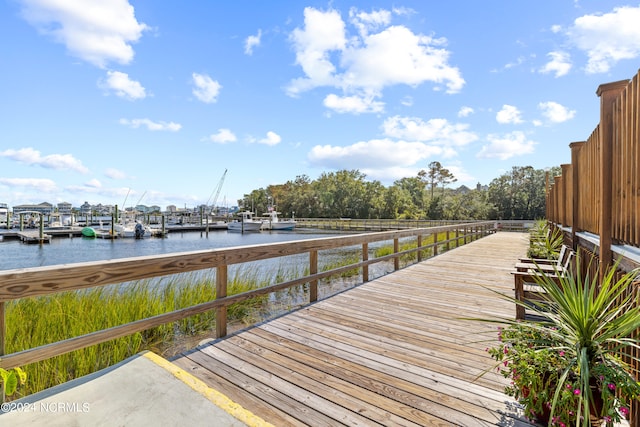 dock area with a water view