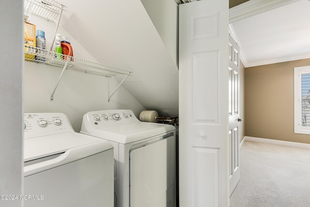 bedroom with light carpet, ceiling fan, and crown molding