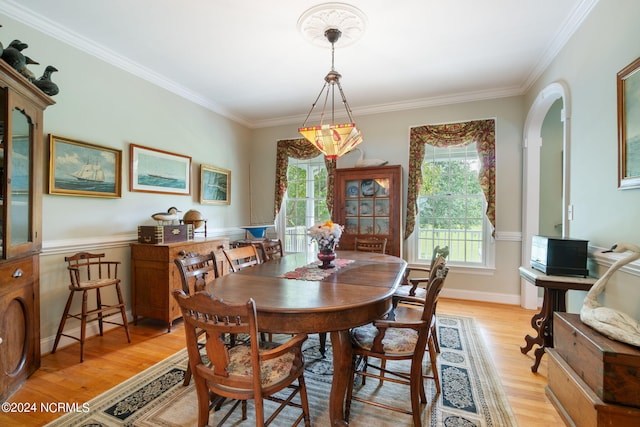 dining room with crown molding and light hardwood / wood-style flooring