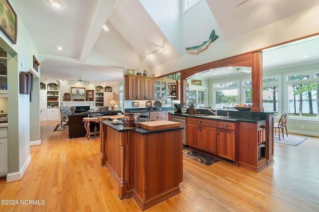 kitchen with ceiling fan, a center island, and light hardwood / wood-style floors