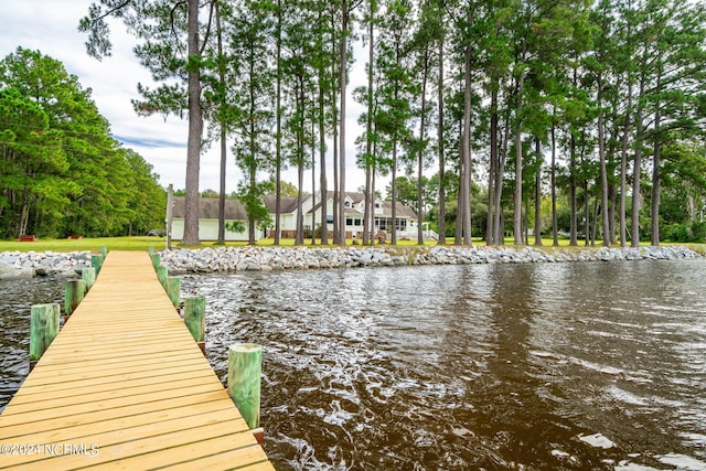 dock area with a water view