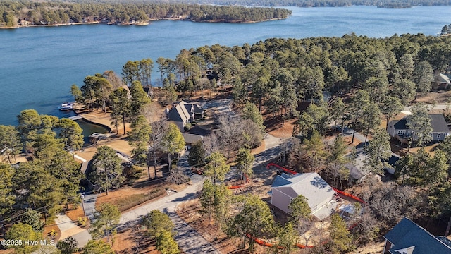 bird's eye view with a water view and a view of trees