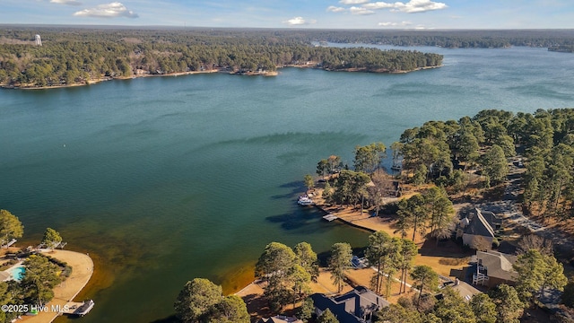 aerial view featuring a water view and a view of trees